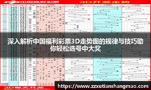 深入解析中国福利彩票3D走势图的规律与技巧助你轻松选号中大奖